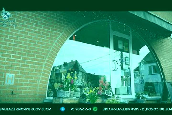 Hazel, 29 — Escort in Ville-sur-Haine, Belgium
