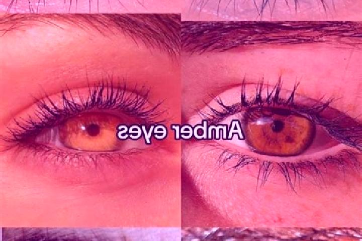 Hazel, 30, a chestnut amber-eyed middle eastern companion based in Vlokhoven. Offering Erotic Massage, Travel Companion, Roleplay, Tantra, Couples. Available...