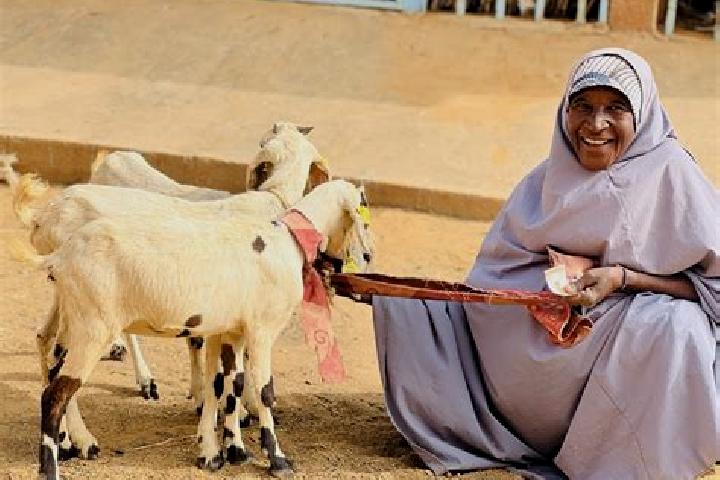 Hazel, 30 — Escort in Bagaroua, Niger