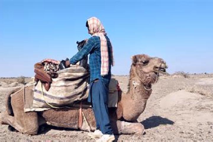 Hazel, 30 — Escort in Dasht-e Archi, Afghanistan