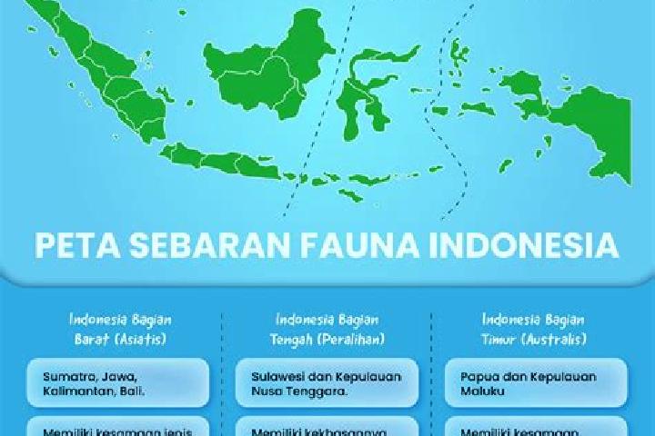 Hazel, 30 — Escort in Gersikputih Tengah, Indonesia