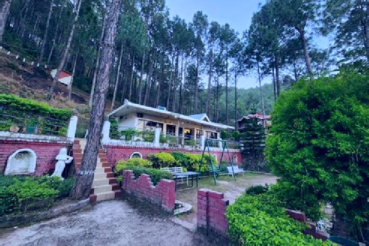 Hazel, 30 — Escort in Kasauli, India