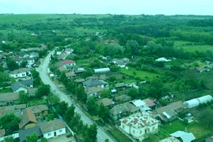 Hazel, 30 — Escort in Varvoru de Jos, Romania
