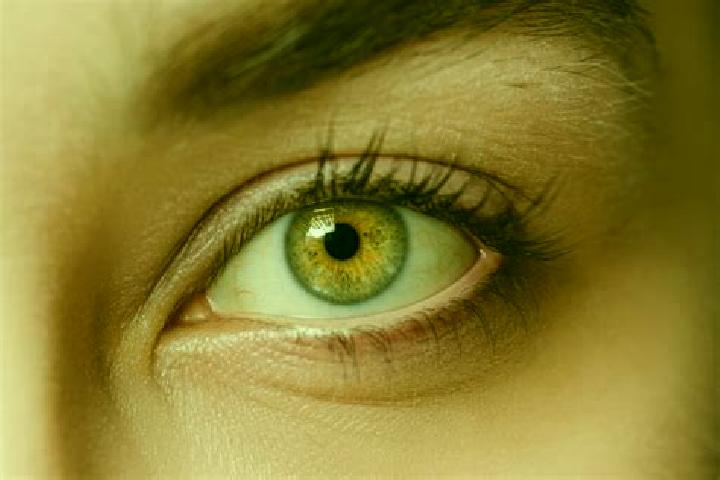 Hazel, 31, a black hazel-eyed mixed companion based in Devitsa. Offering GFE, Prostate Massage, CIM, Striptease. Available for incall and outcall, overnight ...