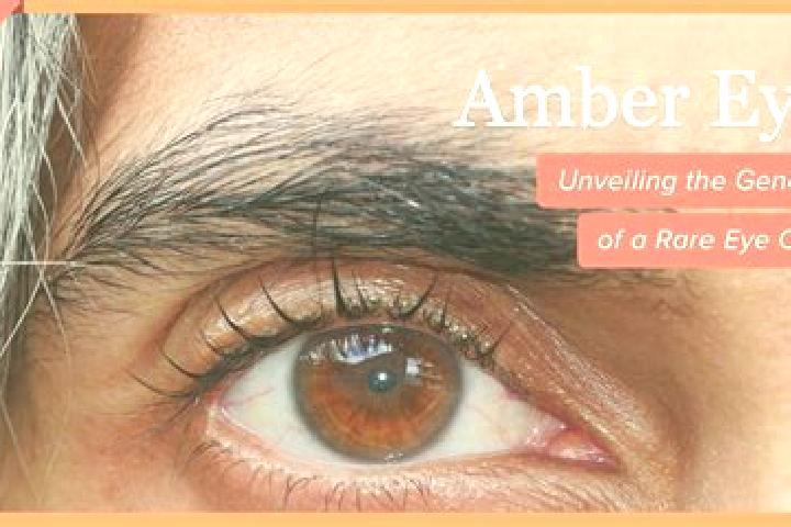 Hazel, 31, a red amber-eyed european companion based in Gimel. Offering Party Girl, Tantra. Available for incall and outcall, day and evening dates.