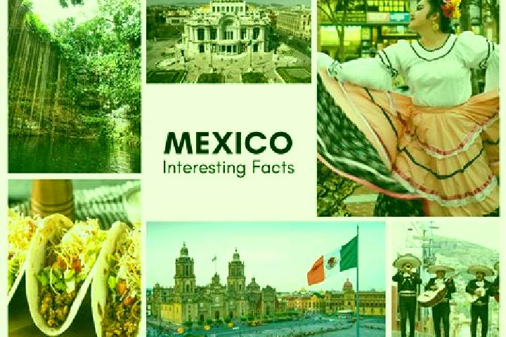 Hazel, 31 — Escort in Bledos, Mexico