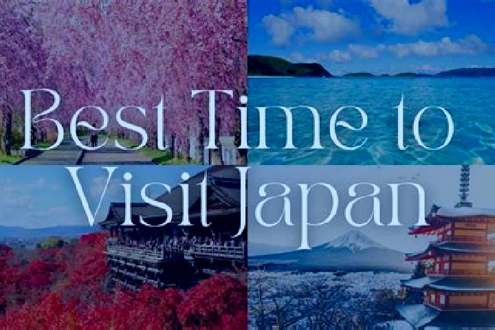 Hazel, 31 — Escort in Chippubetsu, Japan