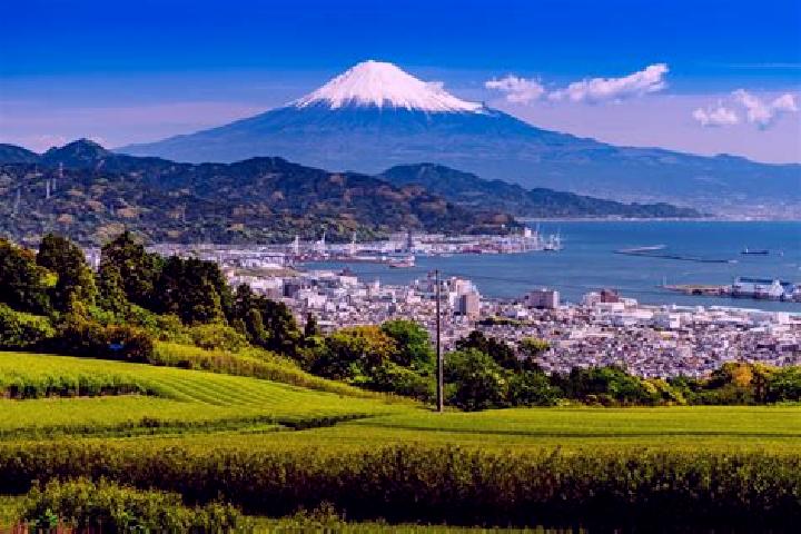 Hazel, 31 — Escort in Izunokuni, Japan