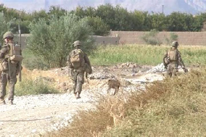 Hazel, 31 — Escort in Sangin, Afghanistan