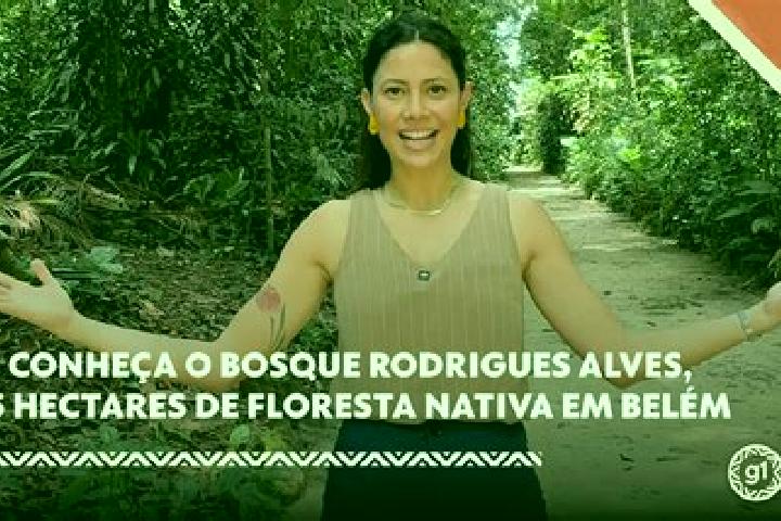 Hazel, 32 — Escort in Rodrigues Alves, Brazil