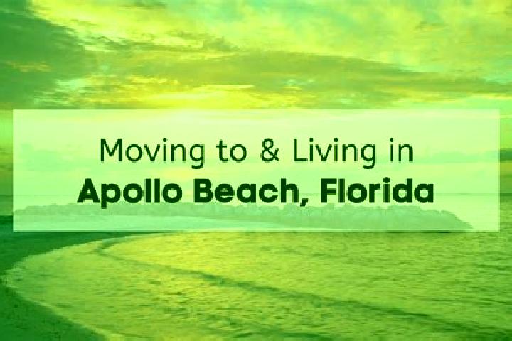 Hazel, 33 — Escort in Apollo Beach, United States