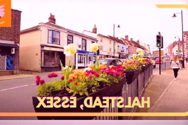 Hazel, 33 — Escort in Halstead, United States
