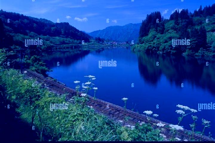 Hazel, 33 — Escort in Kaneyama, Japan