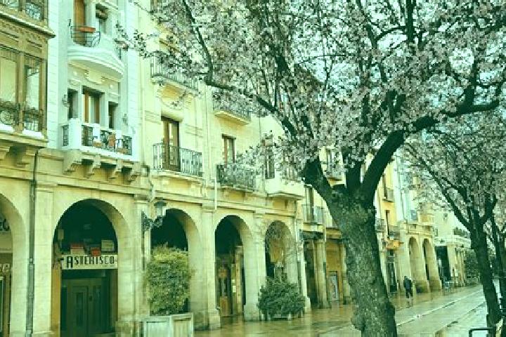 Hazel, 33 — Escort in Logrono, Spain