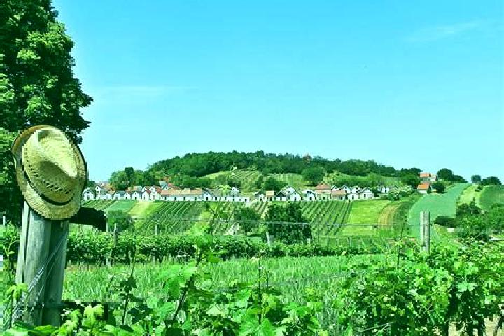 Hazel, 34 — Escort in Koenigsbrunn im Weinviertel, Austria