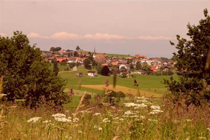 Hazel, 34 — Escort in Rechthalten, Switzerland
