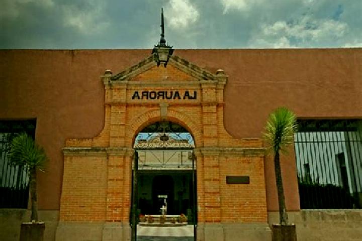 Hazel, 34 — Escort in Tequila 1ra. Seccion (La Aurora), Mexico