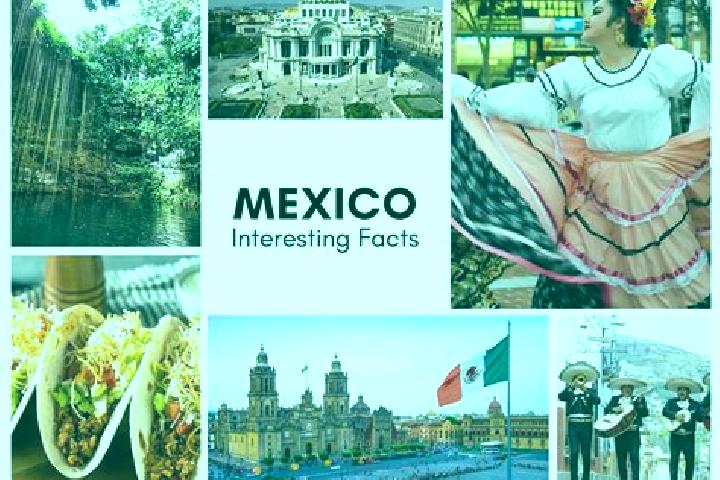 Hazel, 34 — Escort in Xalcuahuta, Mexico