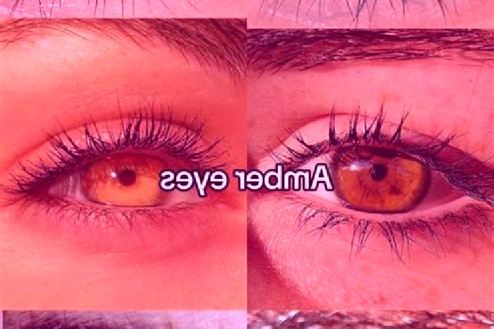 Hazel, 35, a chestnut amber-eyed slavic companion based in Edea. Offering Travel Companion, Prostate Massage, Duos. Available for incall and outcall, overnig...