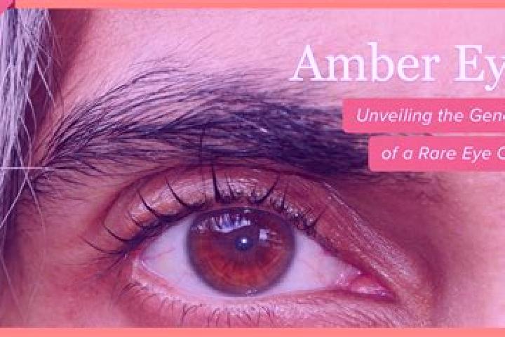 Hazel, 35, a red amber-eyed middle eastern companion based in Pamiatne. Offering Girlfriend Experience, GFE, BDSM, Overnight, Domination. Available for incal...