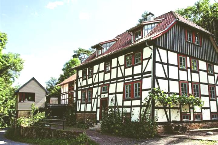Hazel, 35 — Escort in Kirchheilingen, Germany