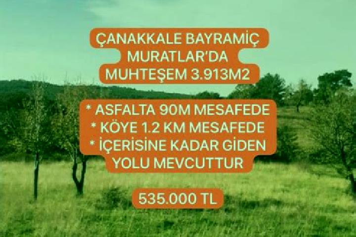 Hazel, 35 — Escort in Muratlar, Turkey