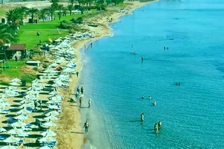 Hazel, 35 — Escort in Pano Panagia, Cyprus