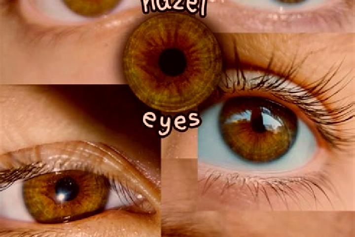 Hazel, 36, a dark blonde hazel-eyed asian companion based in Kaklik. Offering Massage, GFE, Tantra, OWO, Striptease. Available for incall and outcall, day an...