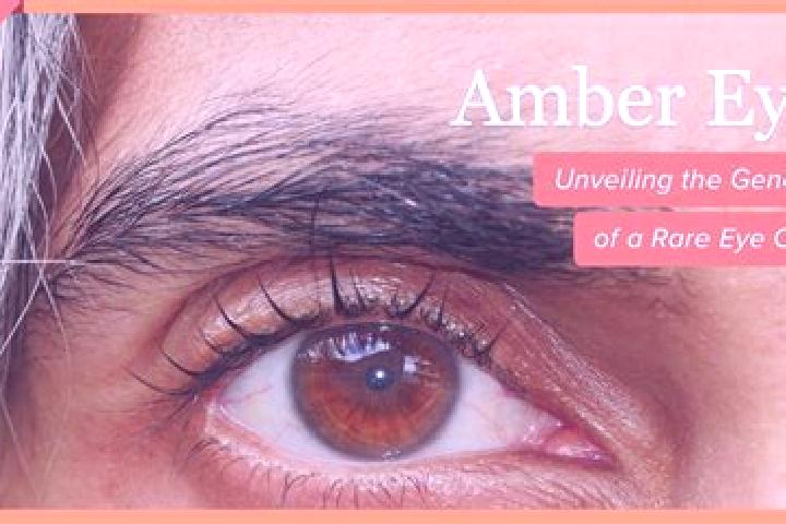 Hazel, 36, a red amber-eyed caucasian companion based in Neo Gynaikokastro. Offering Deep French Kissing, 69, CIM. Available for incall and outcall, overnigh...