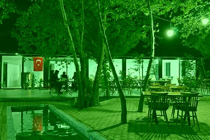 Hazel, 36 — Escort in Beypinari, Turkey