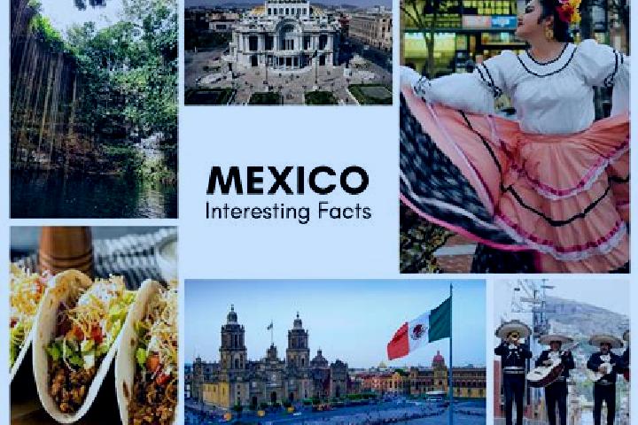 Hazel, 36 — Escort in Dongu, Mexico