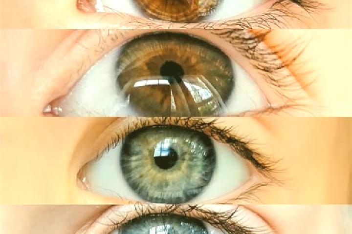 Hazel, 37, a chestnut blue-eyed middle eastern companion based in El Cacao. Offering Overnight, Tantra, GFE, CIM. Available for incall and outcall, overnight...