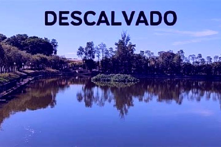 Hazel, 37 — Escort in Descalvado, Brazil