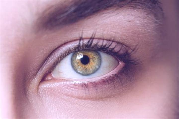 Hazel, 38, a chestnut hazel-eyed mixed companion based in Dolembreux. Offering Dinner Date, Striptease, Prostate Massage. Available for incall and outcall, d...