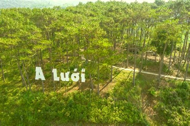 Hazel, 38 — Escort in A Luoi, Vietnam
