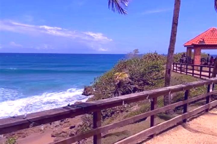 Hazel, 39 — Escort in Aguada, Puerto Rico