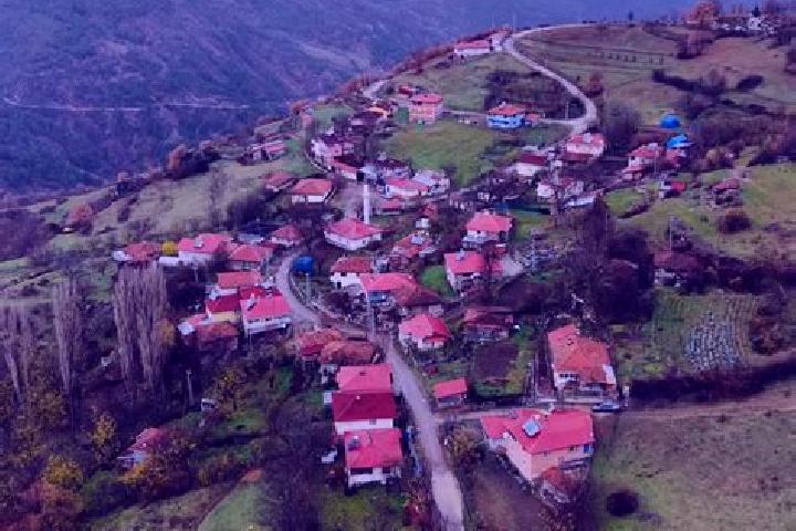 Hazel, 39 — Escort in Bayramoeren, Turkey