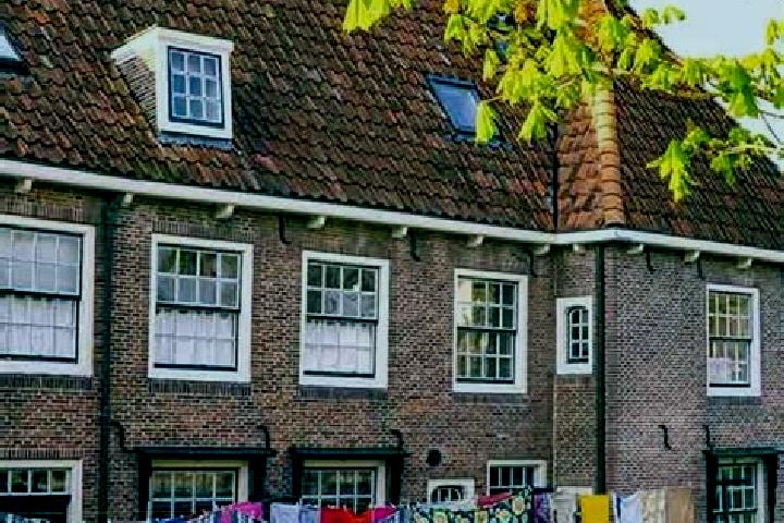 Hazel, 39 — Escort in Linschoten, Netherlands