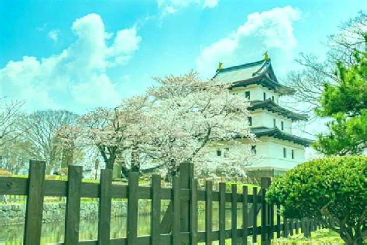 Hazel, 39 — Escort in Matsumae, Japan