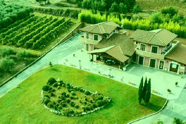 Hazel, 39 — Escort in Oltre Il Colle, Italy
