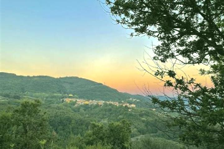 Hazel, 39 — Escort in Valle San Giovanni, Italy