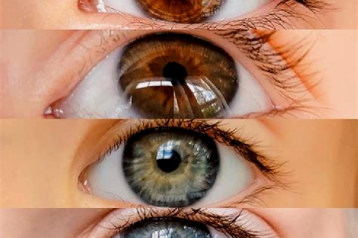 Iris, 20, a chestnut dark-eyed mixed companion based in Paris 13 Gobelins. Offering BDSM, Deep French Kissing, OWO. Available for incall and outcall, overnig...