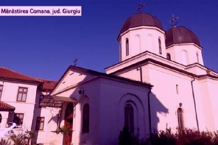 Iris, 20 — Escort in Comana de Jos, Romania