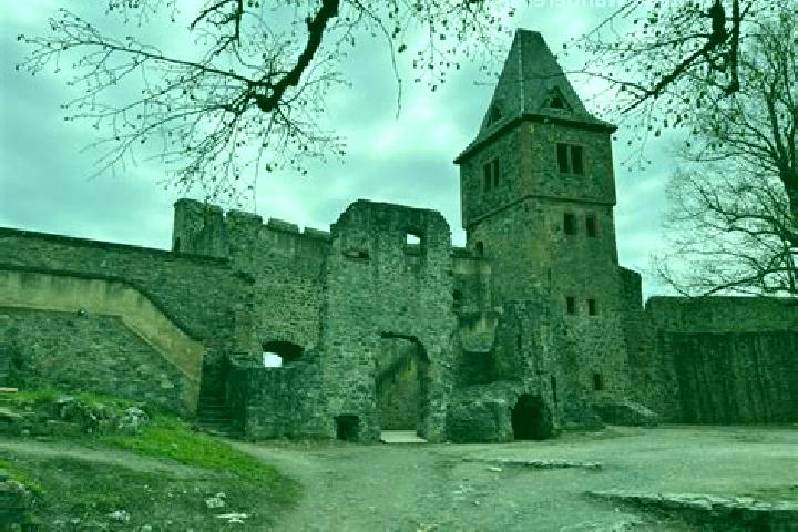 Iris, 20 — Escort in Frankenstein, Germany