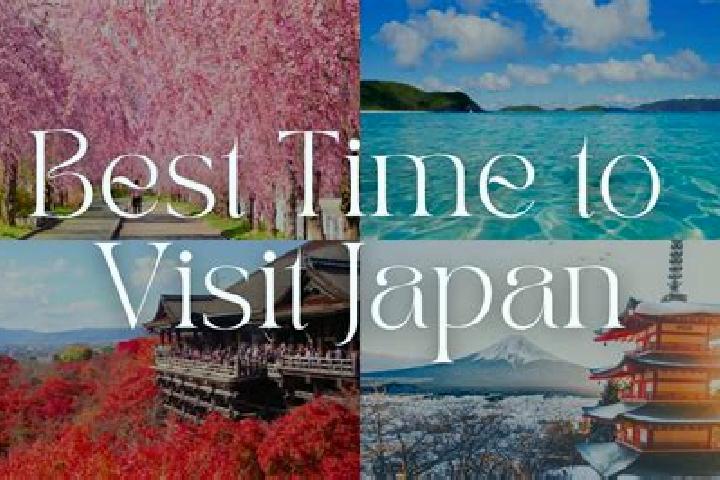 Iris, 20 — Escort in Kawai, Japan