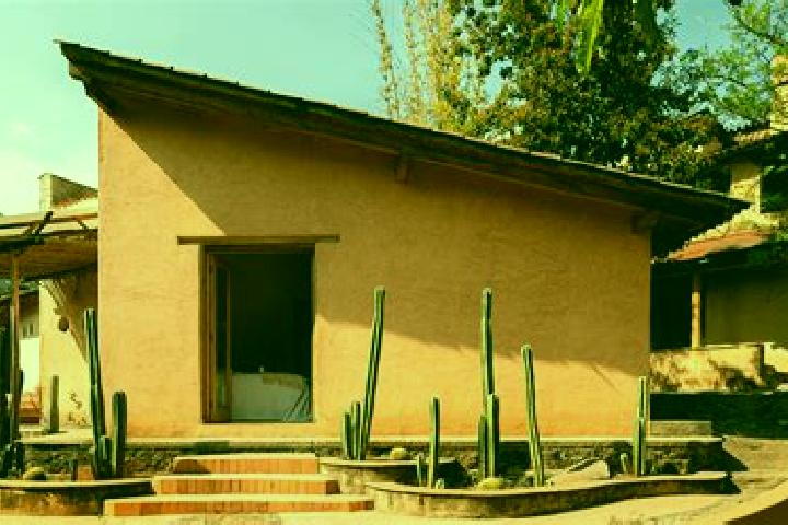 Iris, 20 — Escort in Miacatlan, Mexico