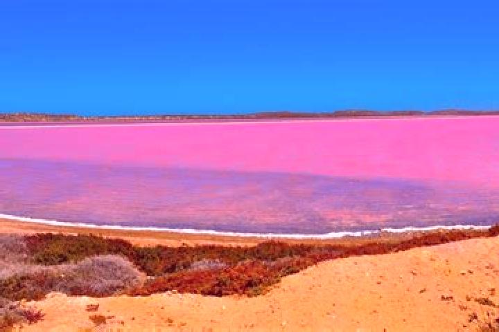 Iris, 20 — Escort in Pink Lake, Australia