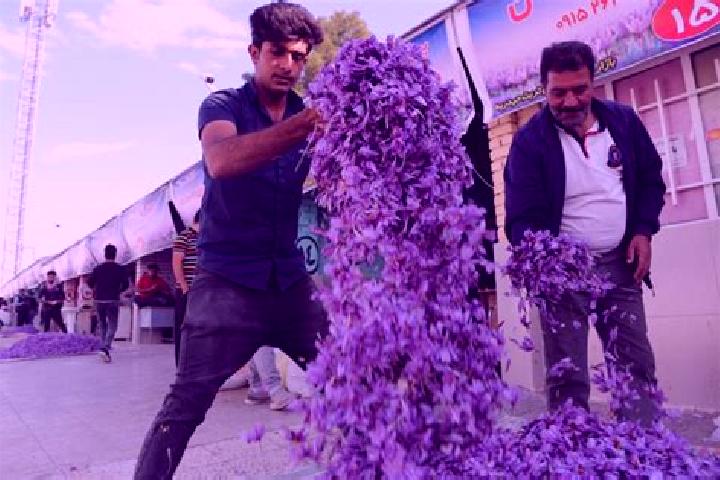 Iris, 20 — Escort in Torbat-e Heydariyeh, Iran