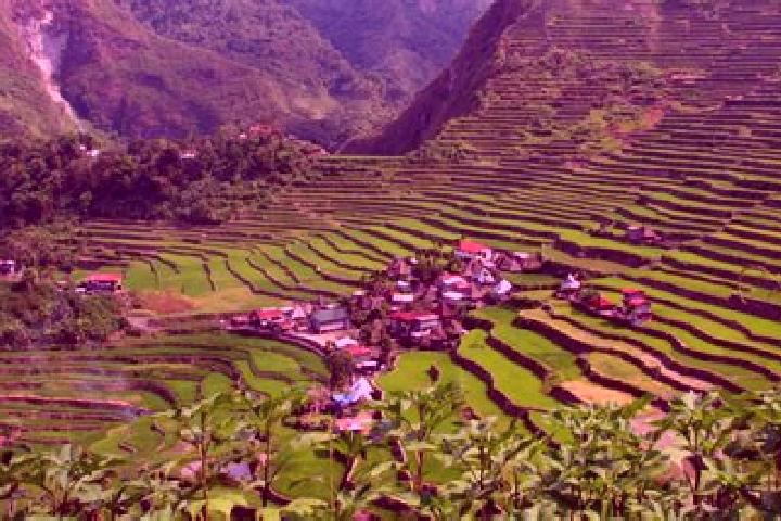Iris, 21 — Escort in Banaue, Philippines