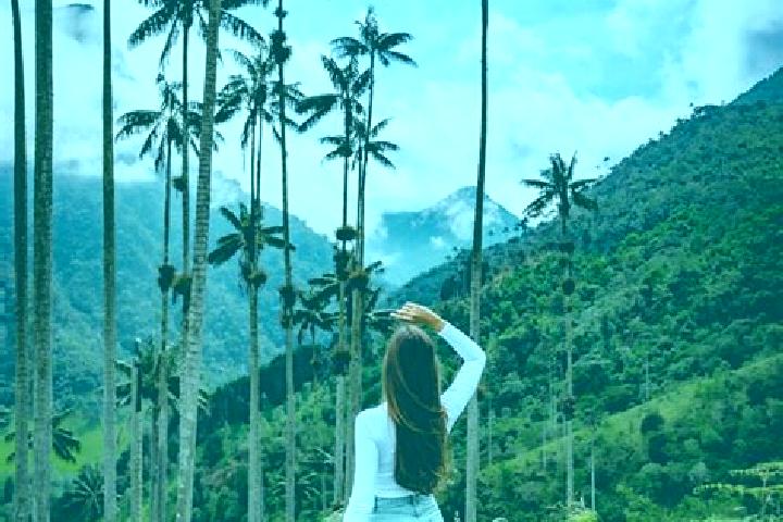 Iris, 21 — Escort in Costa de Oro, Mexico